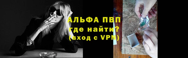 ГАЛЛЮЦИНОГЕННЫЕ ГРИБЫ Карталы